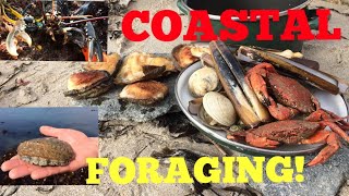 Coastal Foraging  Cook Up On The Beach  Ormers  Abalone  Lobster  Clams and More [upl. by Lanita]