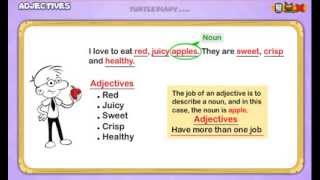 Adjectives Everything You Need To Know Grammar for Kids [upl. by Uv]