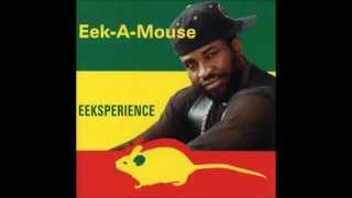 Eek A Mouse  Eeksperience Full Album [upl. by Aitercal]