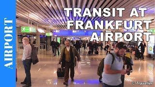 TRANSIT WALK AT FRANKFURT Airport FRA Terminal 1  Connection Flight Transfer Arriving amp Departing [upl. by Zug]