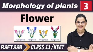 Morphology in Plants 03  Flower  Class 11NEET  RAFTAAR [upl. by Eetnom]