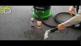 Numatic George Vacuum GVE3702 Vacuum Cleaner Demonstration [upl. by Debbie]