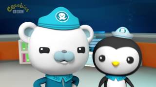 Octonauts Season 3 The Siphonophore [upl. by Novihc]