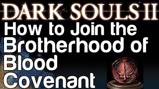 How to Join the Brotherhood of Blood Covenant  Dark Souls 2 Sanguinary Covenant Achievement [upl. by Ferguson]