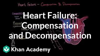 Compensation and decompensation in heart failure  NCLEXRN  Khan Academy [upl. by Aicetel]