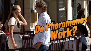 Do Pheromones Really Work [upl. by Higley]