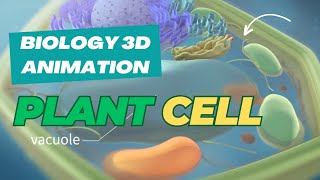 The Secret World Inside Plant Cells  3D Animation Reveals [upl. by Leidgam]