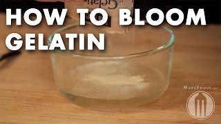 How to Bloom Gelatin  Tutorial Video [upl. by Haliled]