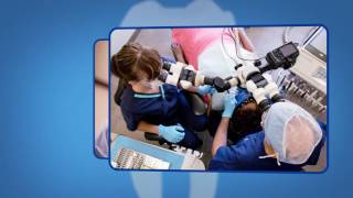 Endodontic Retreatment Explained [upl. by Calvin]