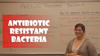 Antibiotic Resistant Bacteria [upl. by Gaudet814]