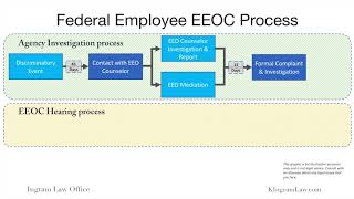 Federal Employee EEO Process From Informal Complaint to Federal Court [upl. by Leruj715]