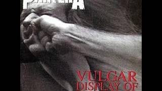 Pantera Vulgar Display Of Power Full Album [upl. by Annavaj]