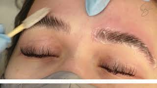 Eyebrow Lamination amp Henna Bee Eyebrow Tint in ONE service [upl. by Hamlen380]