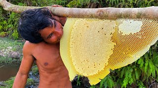 Million Dollars Skill Brave Millionaire Harvesting Honey Beehive by Hands [upl. by Dlareg250]