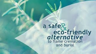 EcoFriendly Aquamation  Flameless Pet Cremation [upl. by Eberhard]