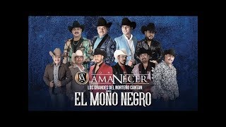 El Moño Negro Con Los Grandes de la Música Norteña  Conjunto Amanecer [upl. by Enreval196]