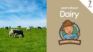 Dairy from Cows with George the Farmer [upl. by Gan174]