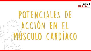 Insuficiencia cardiaca con FEVI preservada Fisiopatología [upl. by Horace]